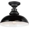 Granville Outdoor Ceiling Light