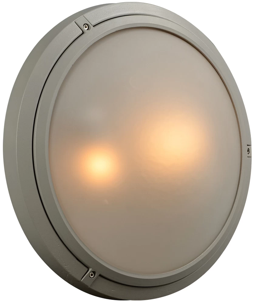 Ricci II Outdoor Wall / Ceiling Light Fixture