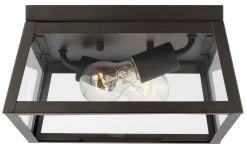 Founders Outdoor Ceiling Light Fixture
