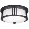 Crowell Outdoor Ceiling Light