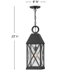 Briar Outdoor Pendant