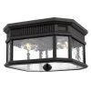 Cotswold Lane Outdoor Ceiling Light Fixture