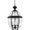 Newbury Outdoor Pendant