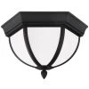 Wynfield Outdoor Ceiling Light Fixture