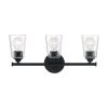 Bransel Bathroom Vanity Light