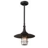 Allegany Dark Sky Outdoor Pendant
