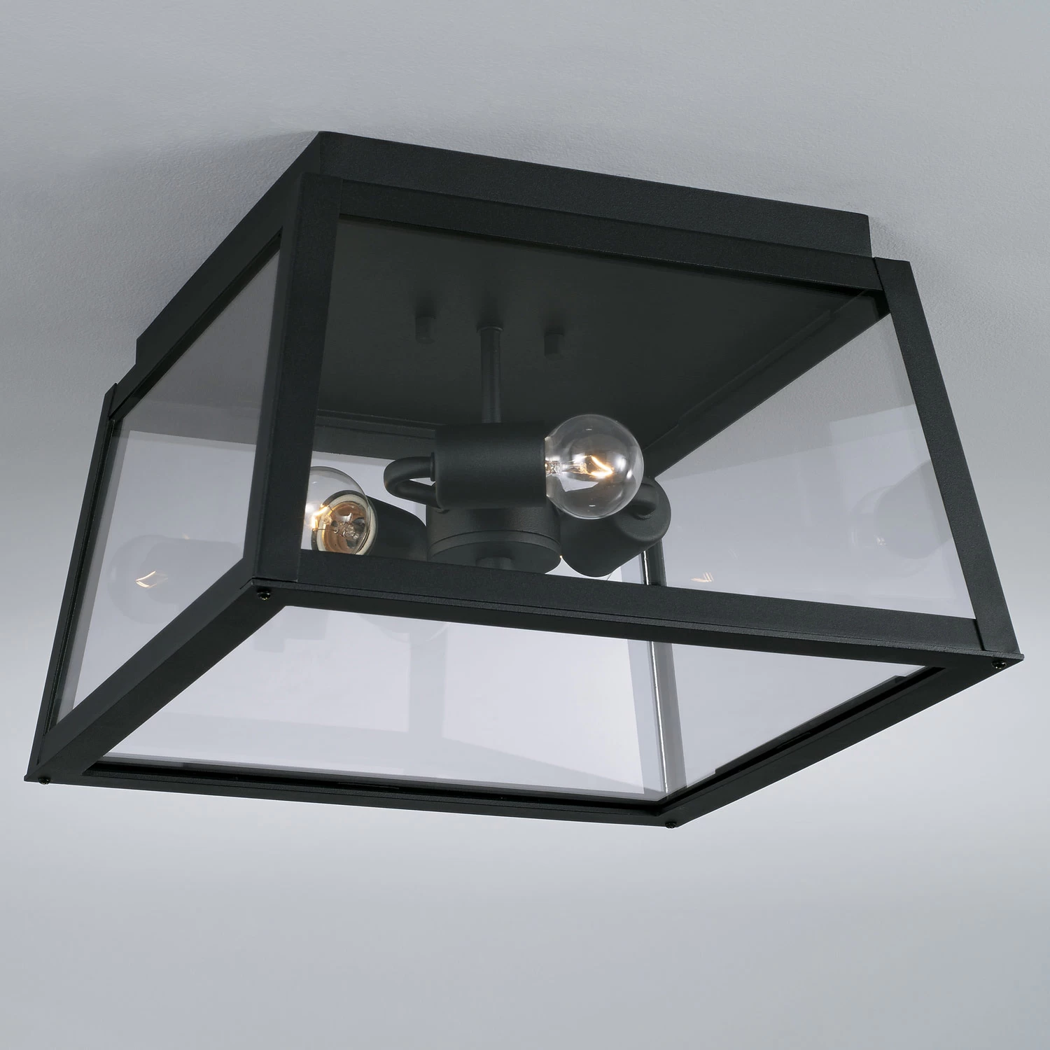 Leighton Outdoor Ceiling Light Fixture - Image 2