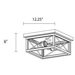 County Fair Outdoor 2Lt Ceiling Light Fixture