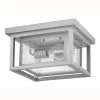 Republic Outdoor Ceiling Light
