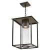 Coen Outdoor Dark Sky Pendant