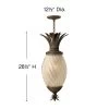 Pineapple 120V Outdoor Pendant