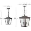Trellis 120V Outdoor Pendant