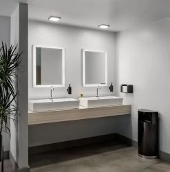 ELAN Ryame Lighted Mirror