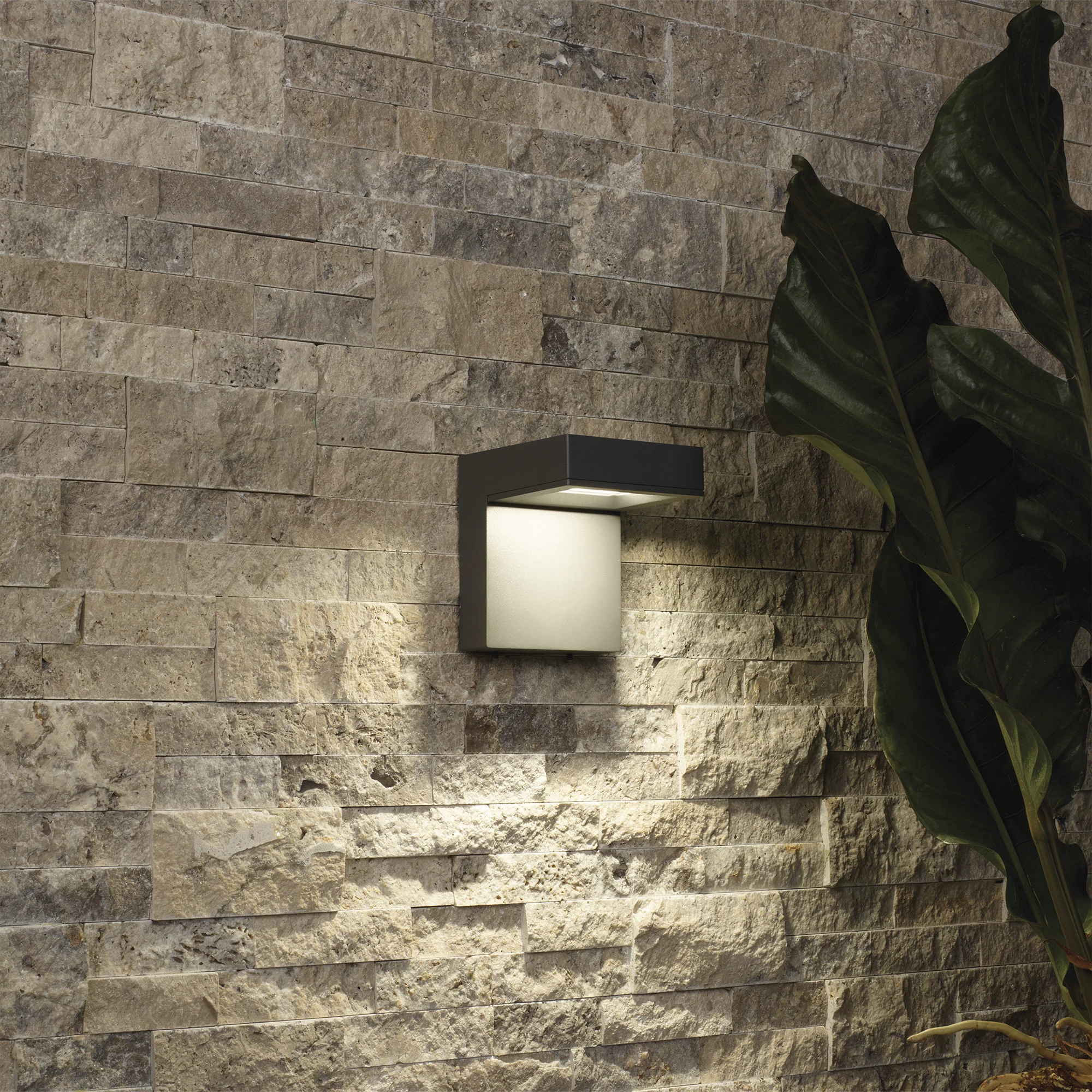 Taag 6 Inch Symmetric Outdoor Wall Sconce - Image 3